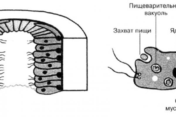 Настоящая ссылка на кракен